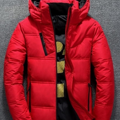 Chamarra informal de otoño con cuello levantado, sombrero grueso Puffer, Parka de pato blanco, chaqueta de plumón con capucha