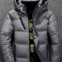 Chamarra informal de otoño con cuello levantado, sombrero grueso Puffer, Parka de pato blanco, chaqueta de plumón con capucha